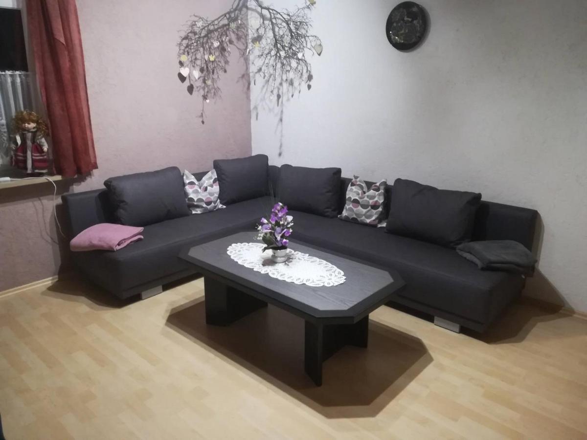 Ferienwohnung Preuss Martinlamitz Экстерьер фото